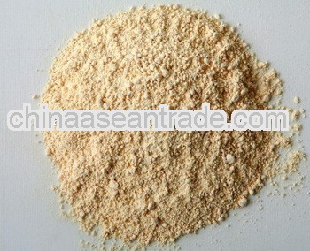 80-100 mesh Dehydrated Garlic Powder/ Knoblauchpulver