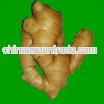 Air Dried Fresh Ginger