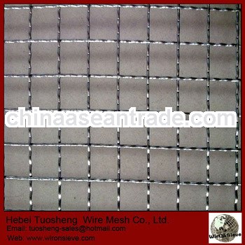 Anping Factory promotion Crimped Wire Net (manufacture hot sale)