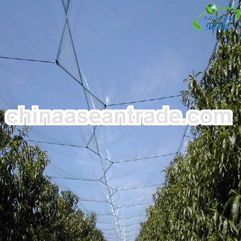 Anti hail systems/ Anti Hail Net / Hail protection nets for agriculture