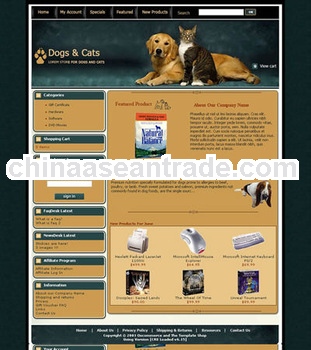 B2C website design and promotion