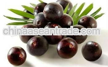 Best Sale Pure Natural Freeze-dried Acai Berry Powder