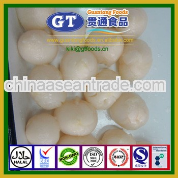 Best fruit canned lychee in syrup with low price