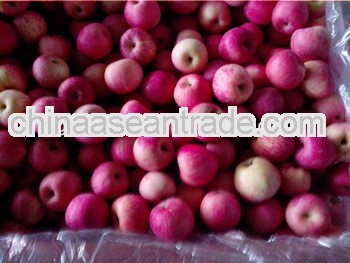 Best grade a fuji apple from china