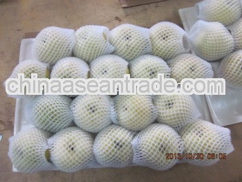Best price for Fresh Golden Pear corp 2013 Fruit