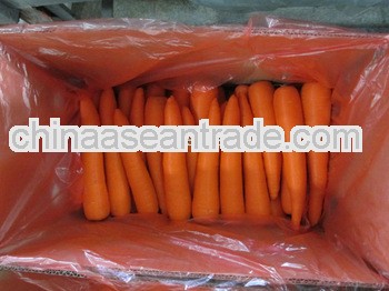 Best price red carrots