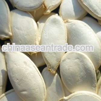 Big size Crop 2011 Chinese White Pumpkin Seeds