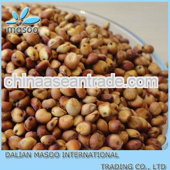 Bird Food and Seed White Sorghum