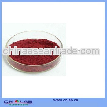 Blueberry Fruit Extract Powder Proanthocyanidins 10%-70%