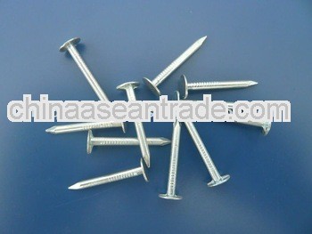 Bulk Roofing Nail From Manufacture