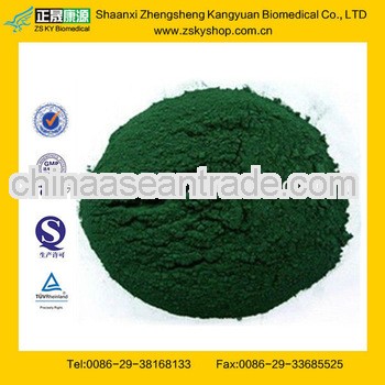 Bulk Spirulina Powder from GMP Certified Manufacturer