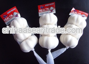 Certified GAP/ KOSHER/ HALAL/HACCP FRESH GARLIC