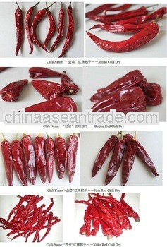 Certified SGS Jinta chilli