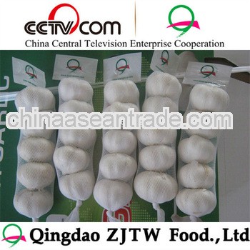 Cheap garlic fresh cheap garlic price