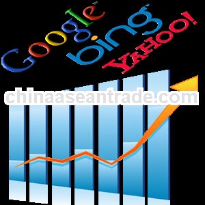  ECCIC group guaranteed seo services, web promotion