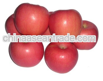 Fresh Fuji Red Apple