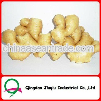  hot sale fresh ginger export Pakistan