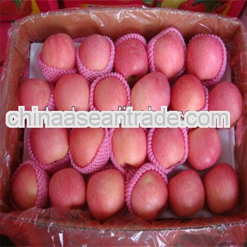  red fresh fruit apple(Fuji apple)