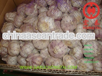 Chinese Fresh Common White Garlic Price