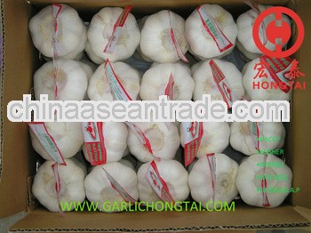 Chinese Fresh Garlic 4P Mesh Bag Price