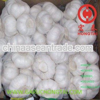 Chinese Fresh Garlic 500G Price