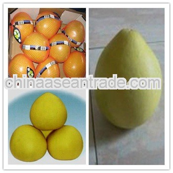 Chinese Fresh Grapefruit Pomelo (Pinghe Original)