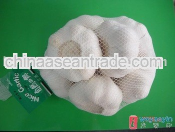 Chinese Fresh white Garlic 2013 new crop