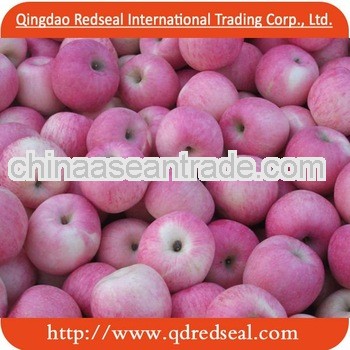 Chinese Fuji Apple