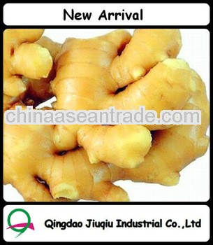 Chinese Ginger for sale