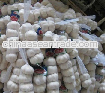 Chinese Normal white garlic for sale 2013