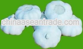 Chinese Pure White Garlic and Snow White Garlic