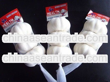 Chinese White Garlic Super quality