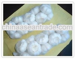 Chinese fresh organic fresh garlic 2013