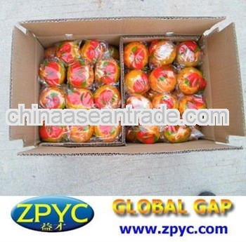 Chinese mandarin orange