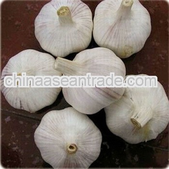 Chinese market price of fresh garlic