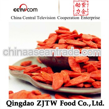 Chinese ningxia dried Goji berries