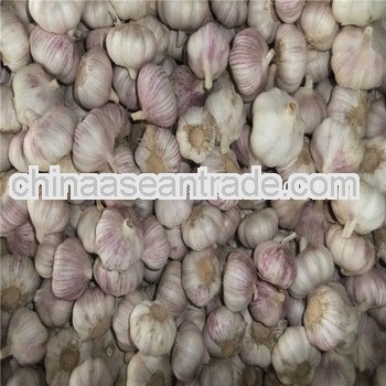 Chinese normal white garlic 2013