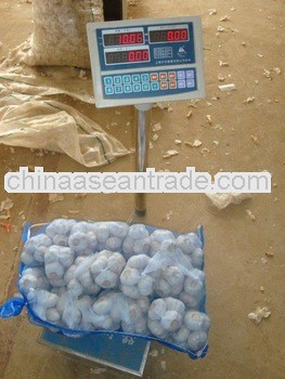 Chinese white Garlic Small Packing