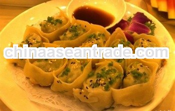 Chinesecheap high quality dumpling machine, dumpling machine for sale