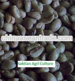 Coffee Beans Robusta