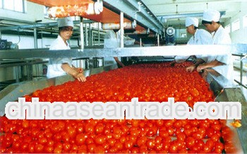 Color 2.2 Crop2012 tomato paste