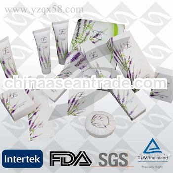 Customized New Personalized Disposable Hotel Amenities