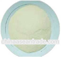 DEHYDRATED GARLIC POWDER