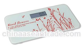 Digital Personal Body Scale