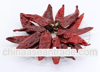 Dry Big YiDU Chilli Pods