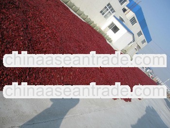 Dry Red Chilli Price