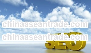 ECCIC, isoftvalley technology ,local seo services