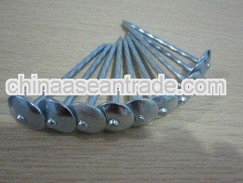 EG finished umbrella head roofing nails