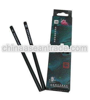 Eco-friendly pencil project