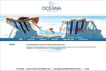 Ecommerce webstie, brand official site development